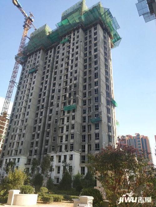 石家庄红旗爆料最新消息,揭秘重大事件进展  第3张