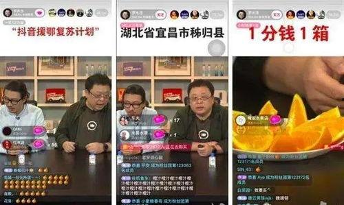 狗仔爆料直播间带货视频,带货视频背后的秘密与亮点  第3张